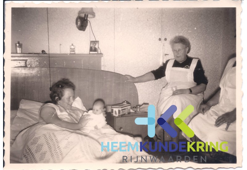 Dina Damen Coll. HKR F0000020